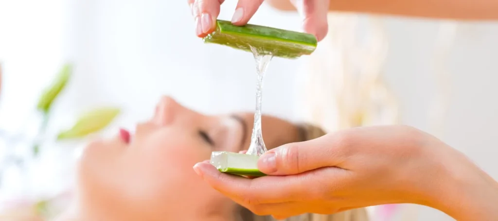 Aloe Vera